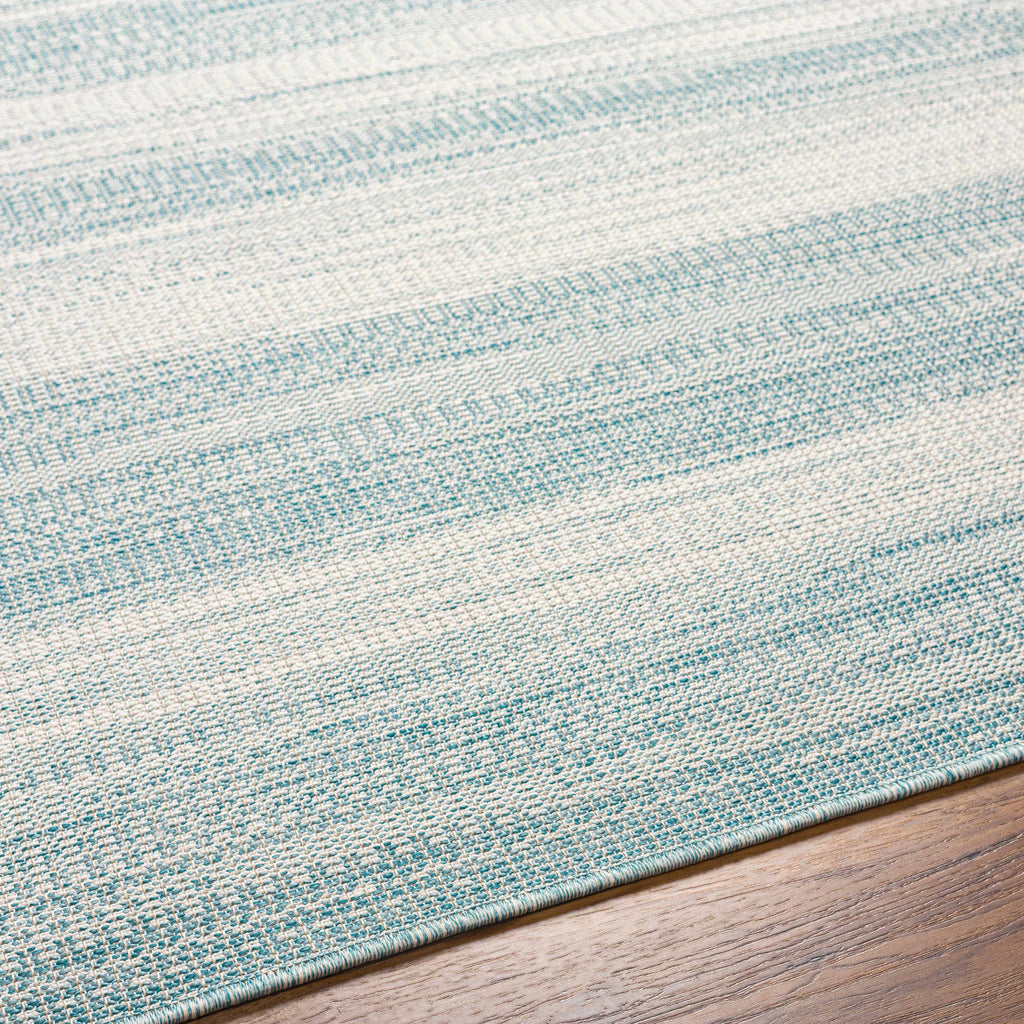 Kris Teal Outdoor Area Rug - Clearance