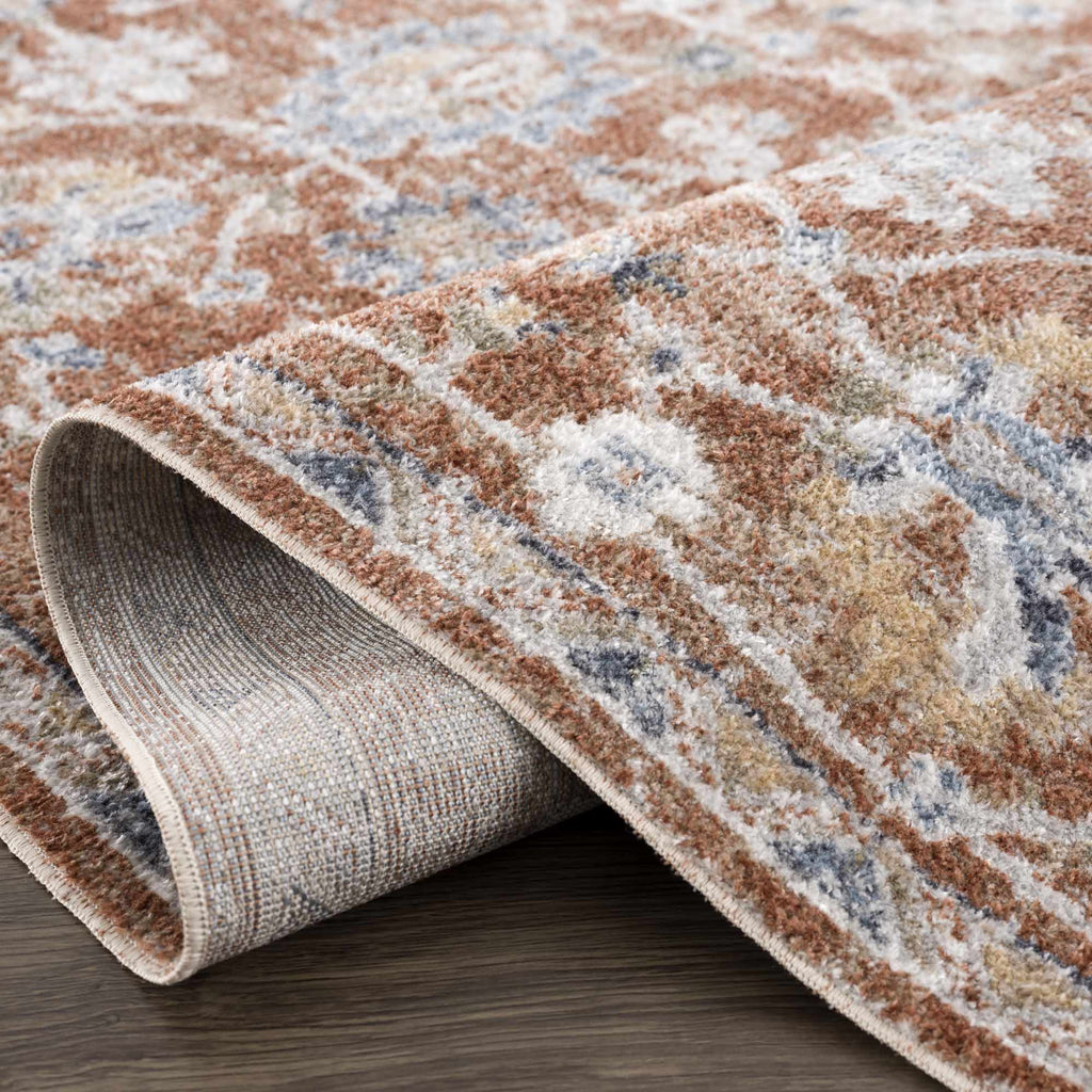 Chavi Washable Area Rug - Clearance