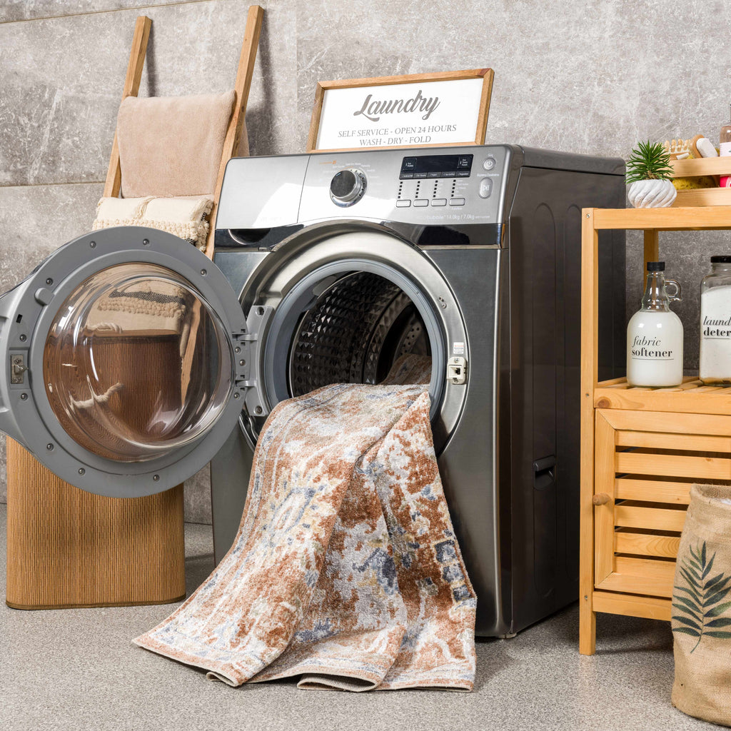 Chavi Washable Area Rug - Clearance