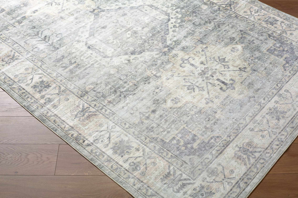 Laran Sage Distressed Washable Area Rug - Clearance