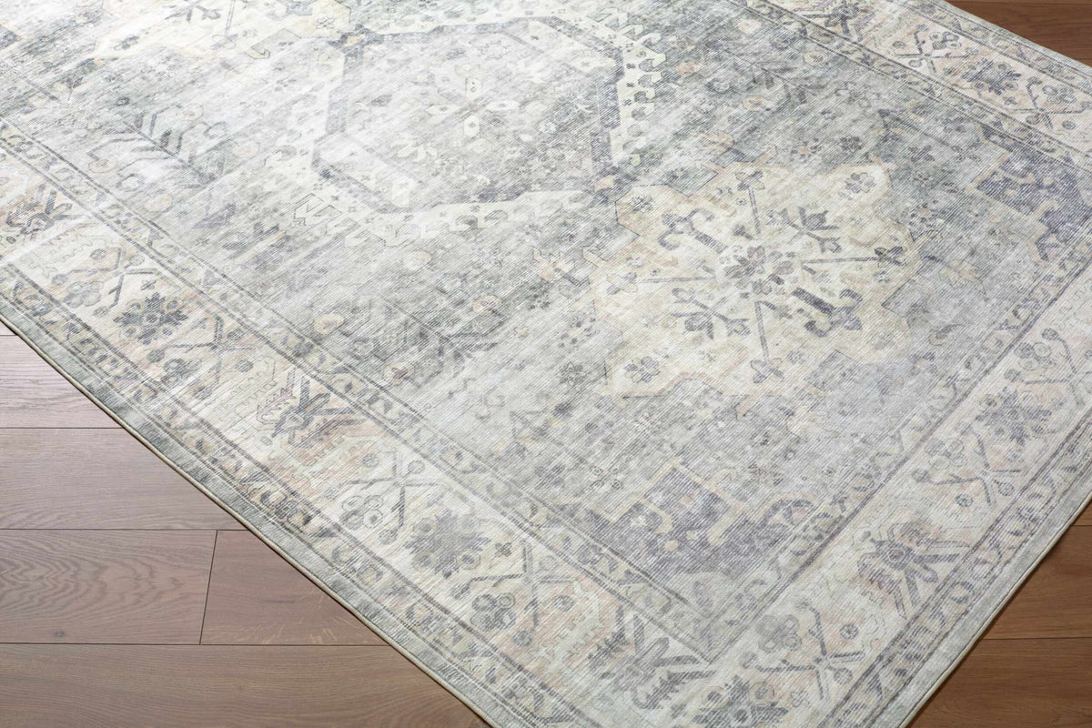 Laran Sage Distressed Washable Area Rug - Clearance