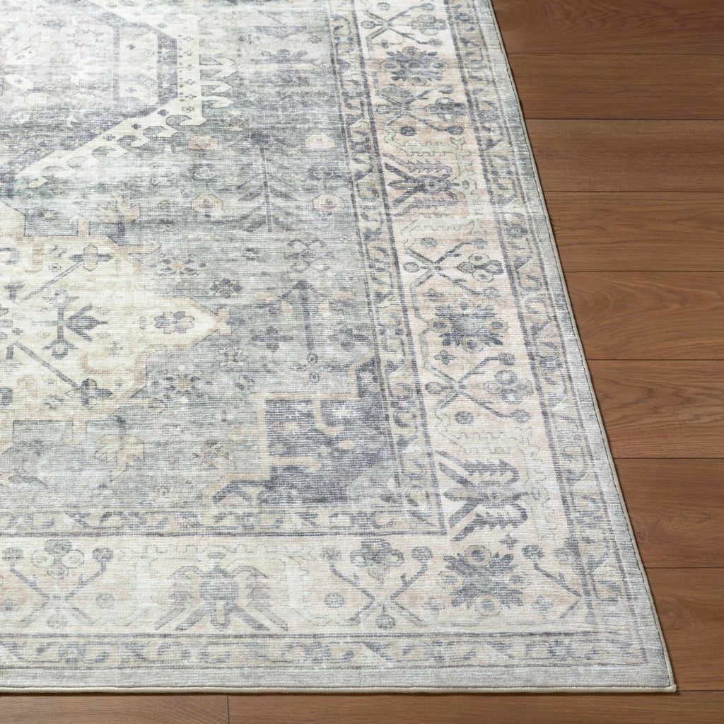 Laran Sage Distressed Washable Area Rug - Clearance