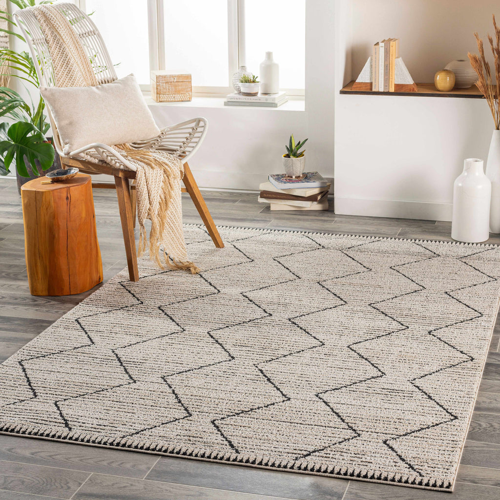Maonon Area Rug - Clearance