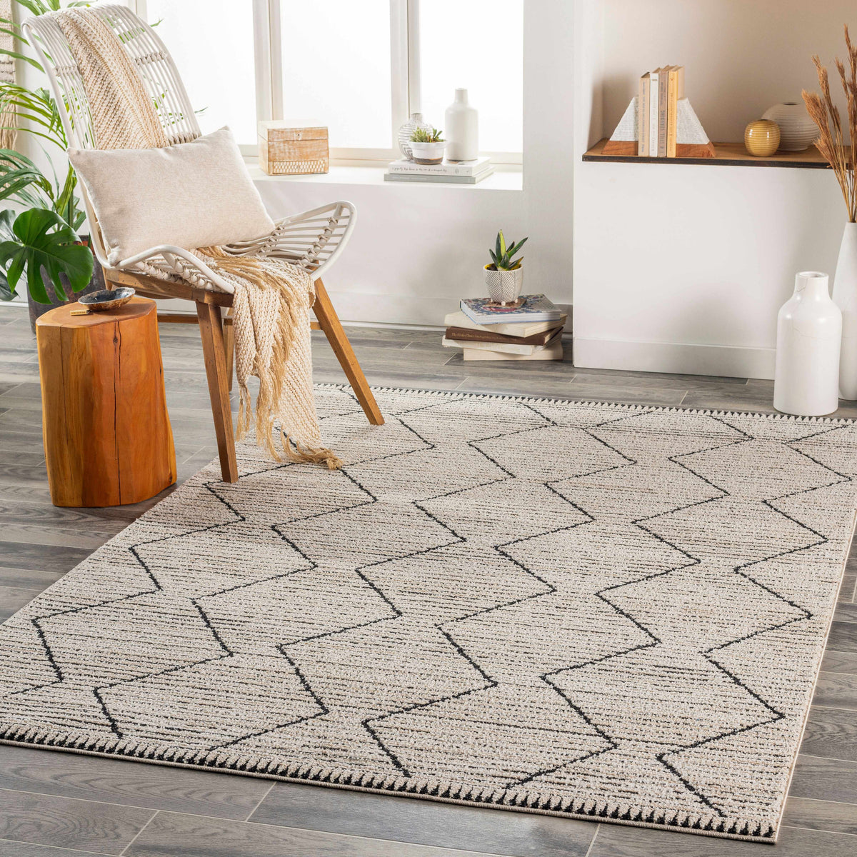 Maonon Area Rug - Clearance