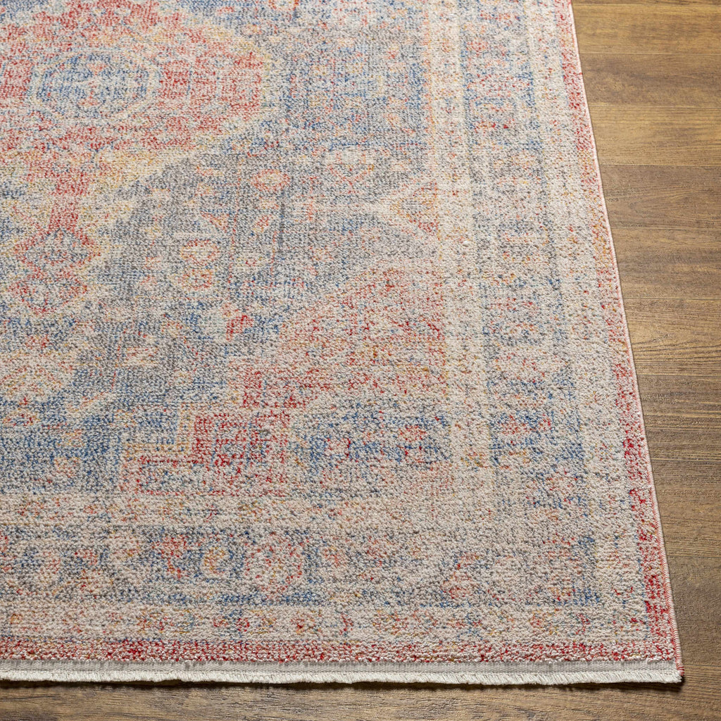 Akio Red & Blue Area Rug - Clearance