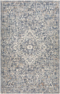 Buguey Blue & Gray Area Rug - Clearance