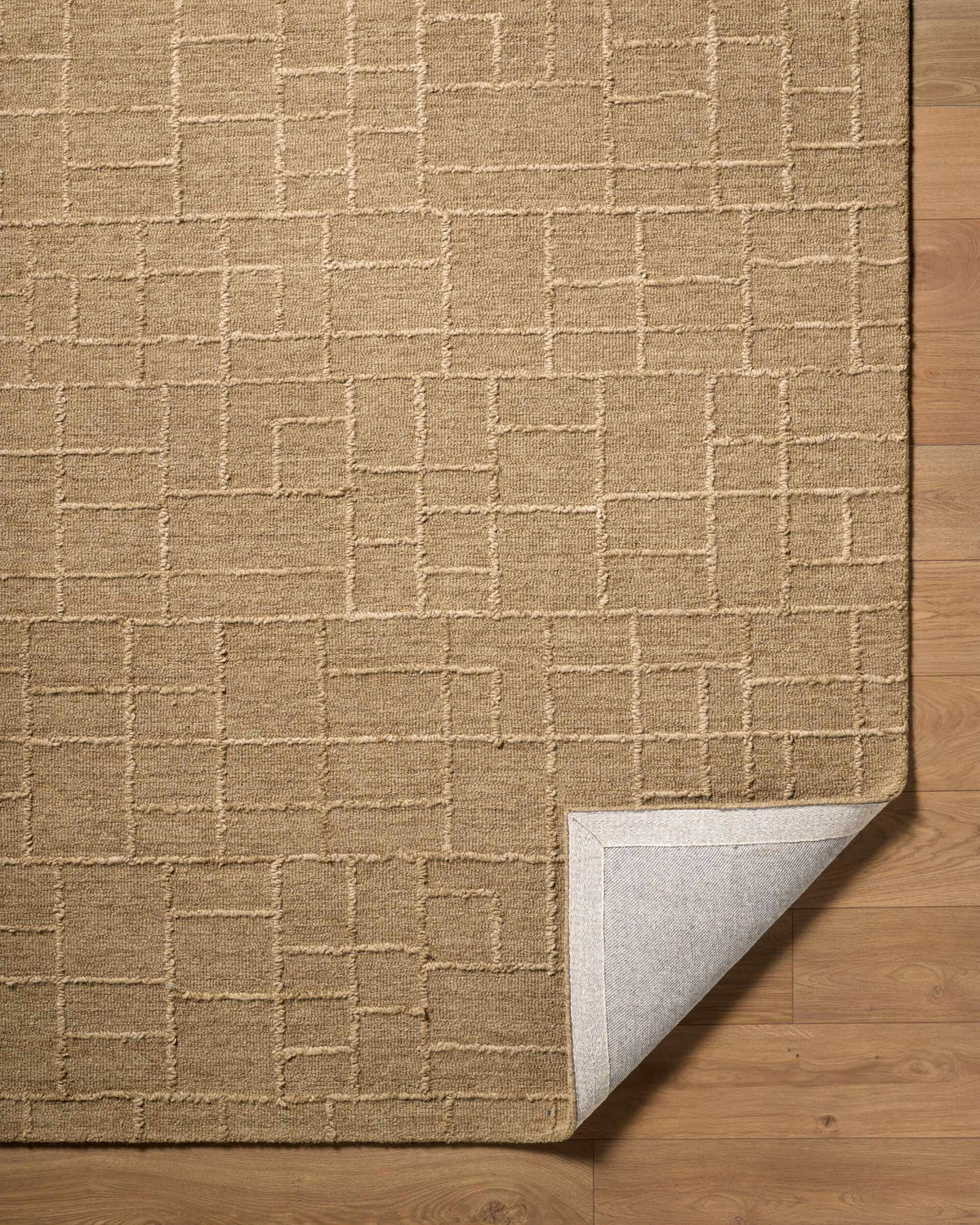 Gramalote Area Rug