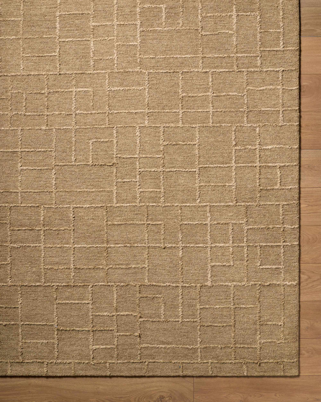 Gramalote Area Rug