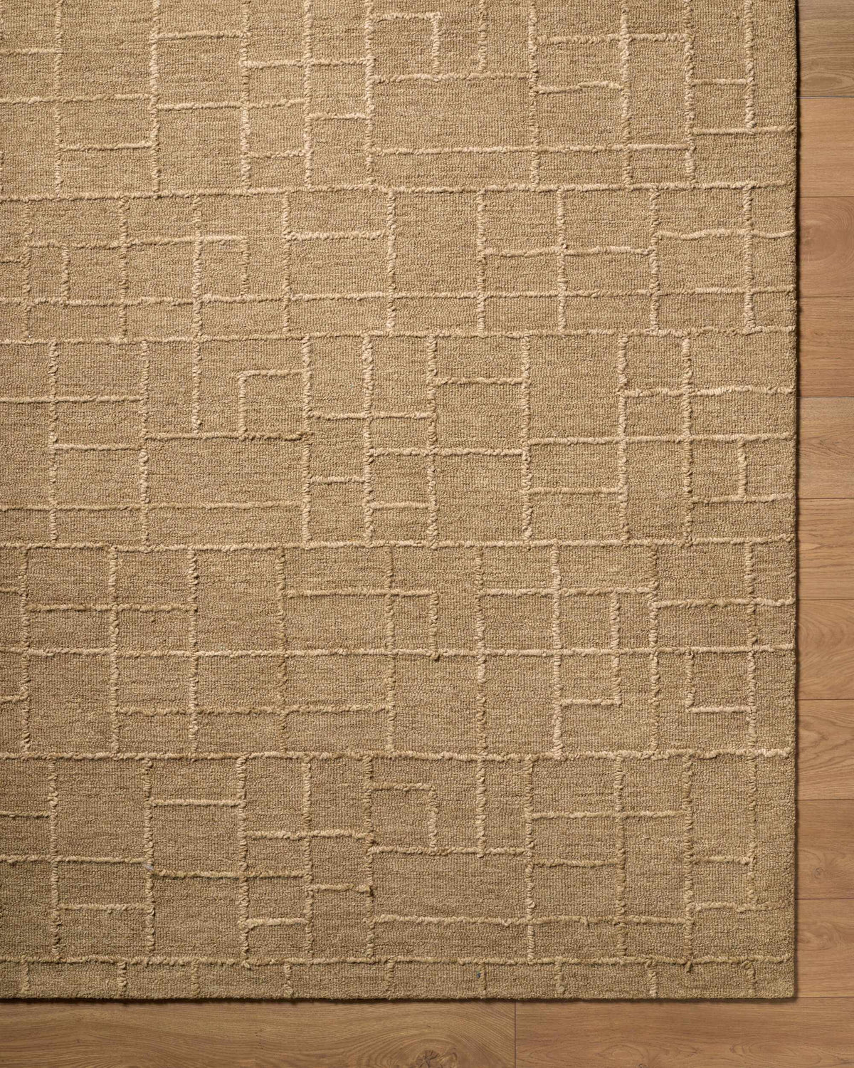 Gramalote Area Rug