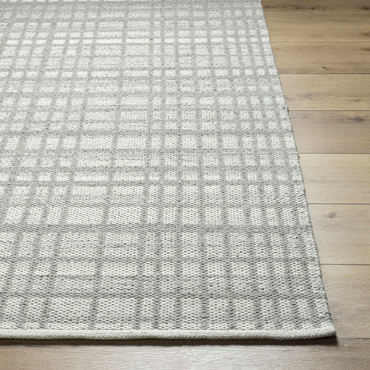 Nissa Light Gray Area Rug - Clearance