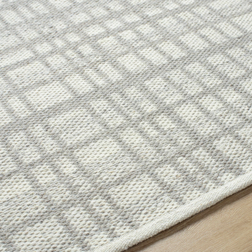 Nissa Light Gray Area Rug - Clearance