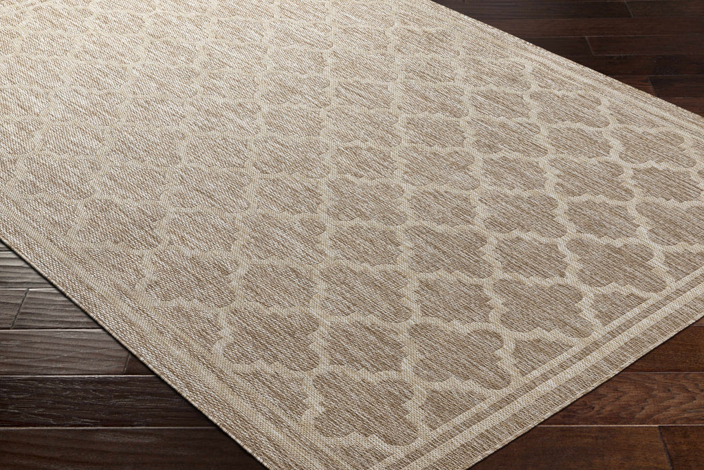 Noam Tan Indoor & Outdoor Rug - Clearance
