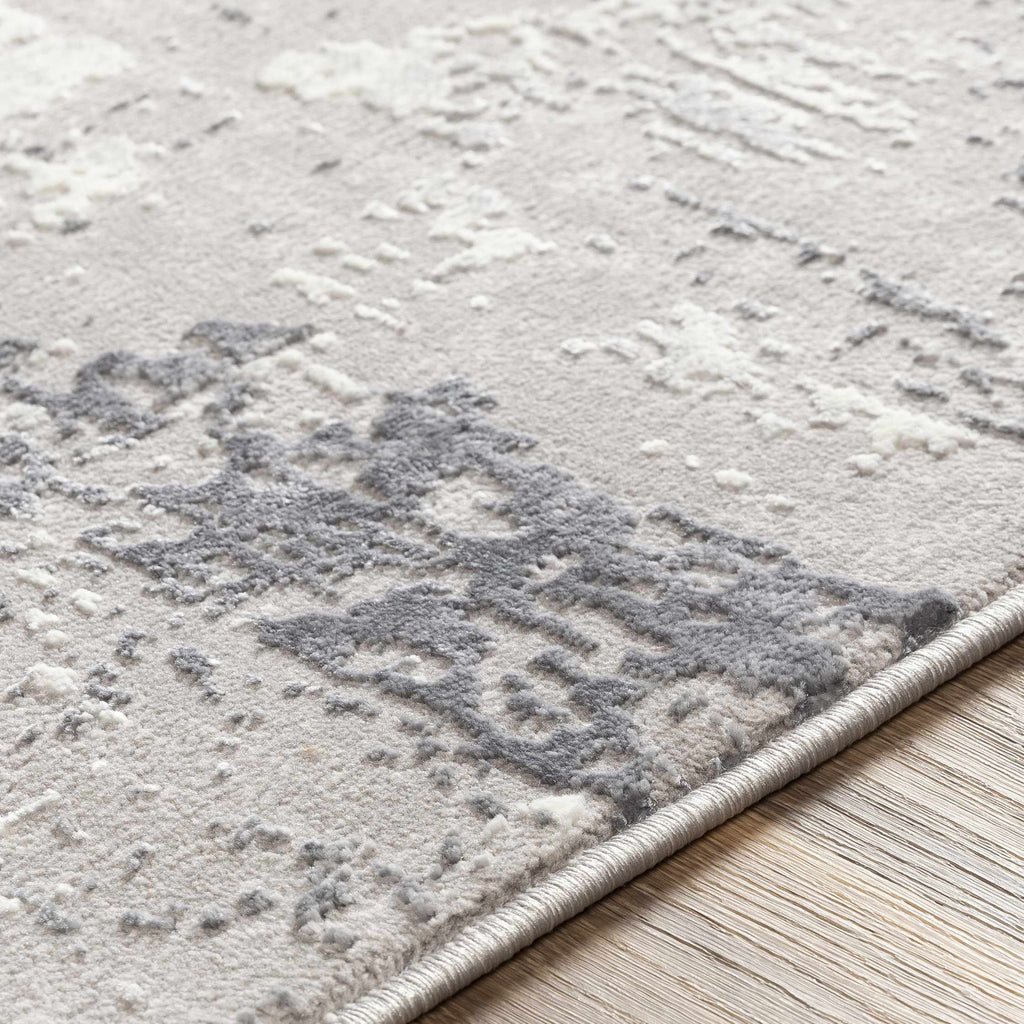 Neponsit Area Rug - Clearance