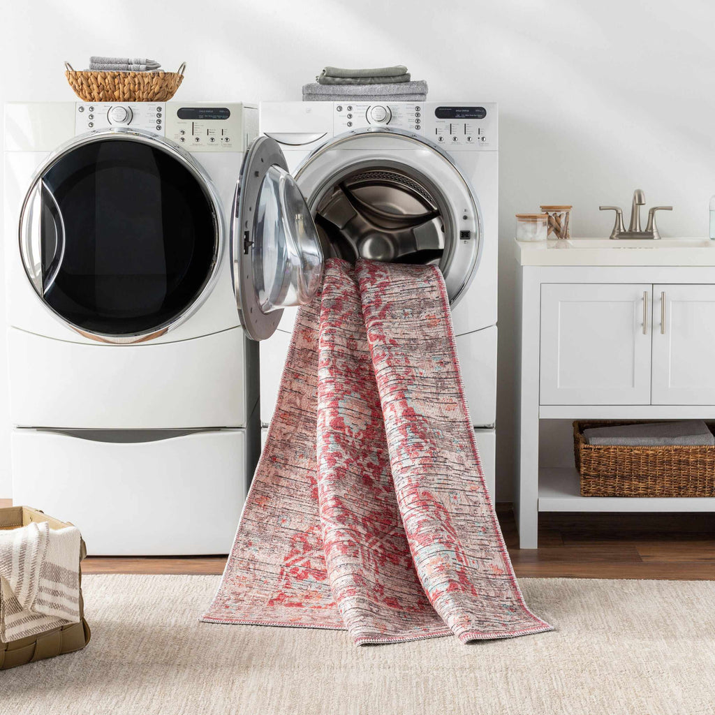 Cathy Area Rug - Clearance