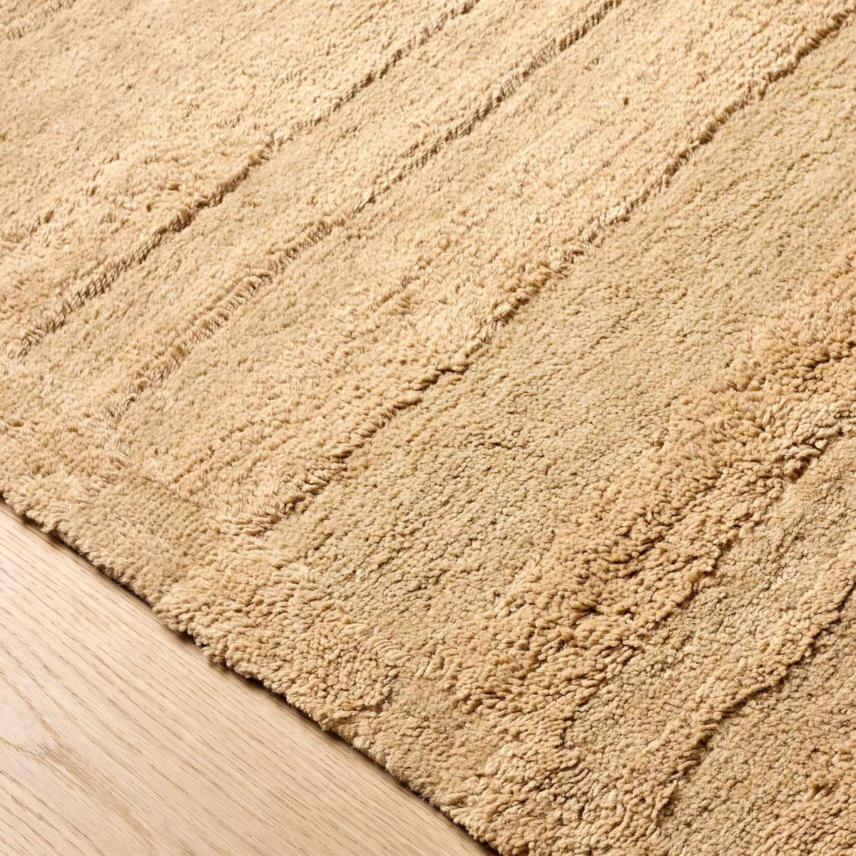 Darrah Beige Transitional Washable Area Rug
