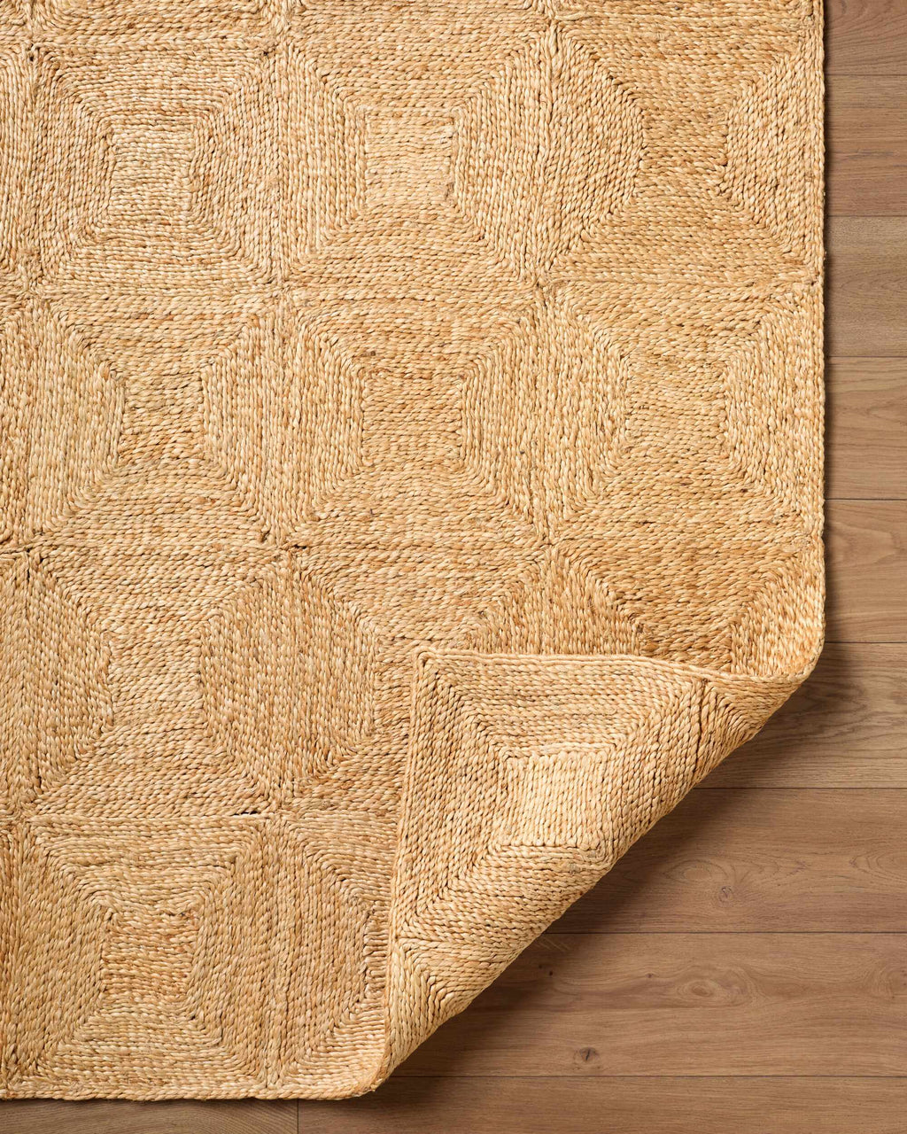 Donagh Brown Geometric Area Rug