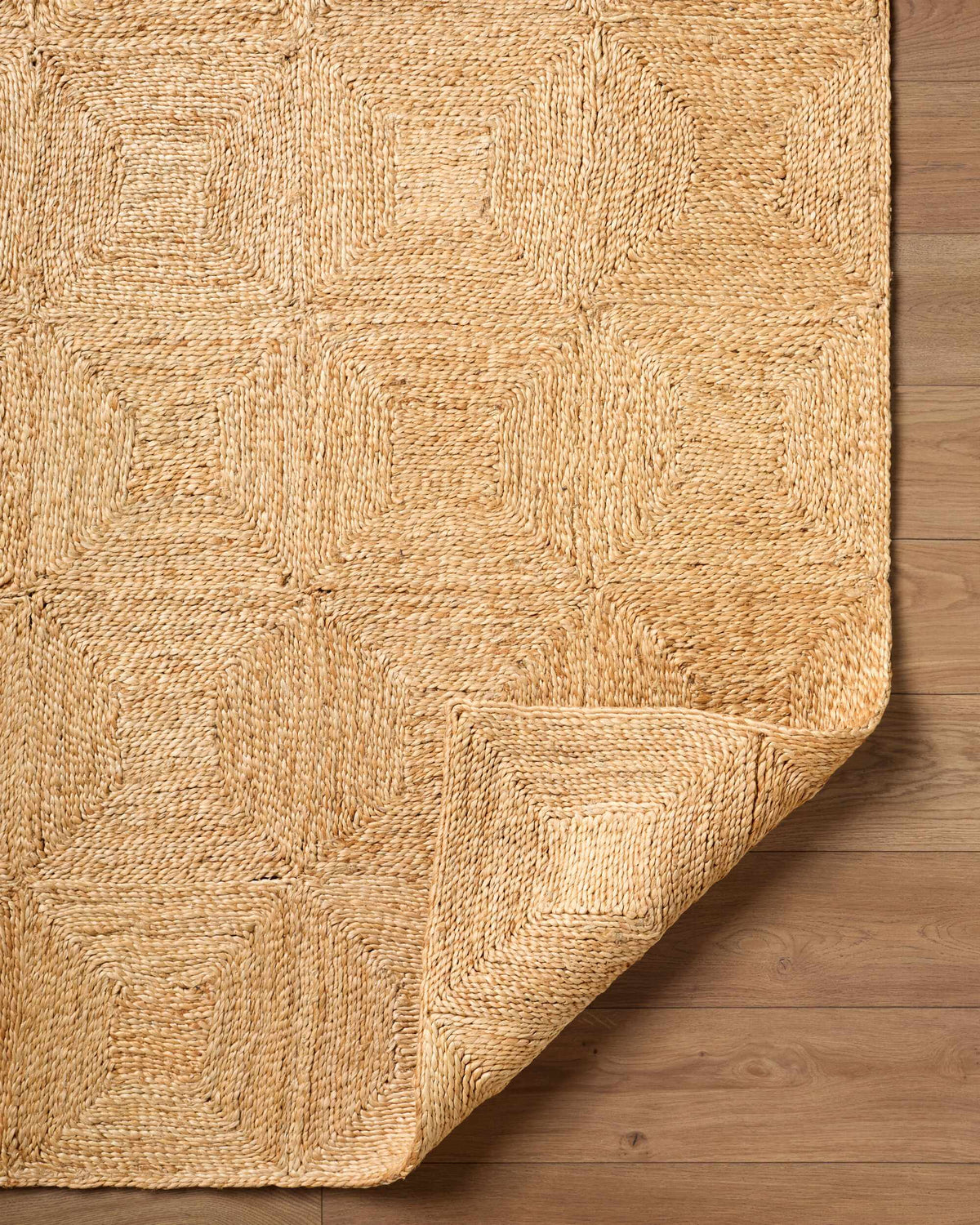 Donagh Brown Geometric Area Rug