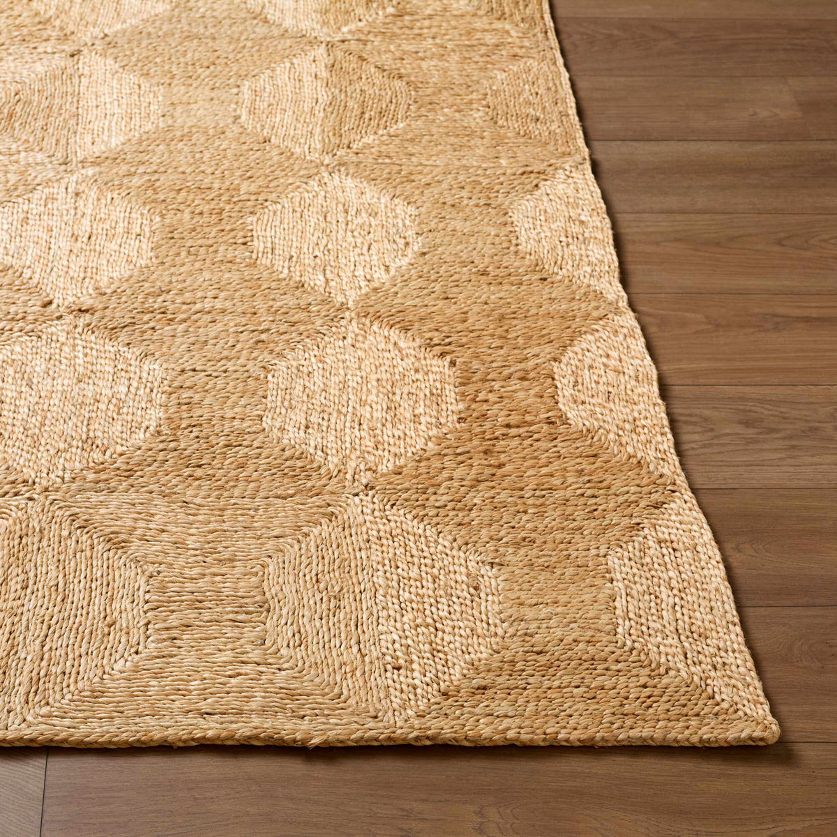 Donagh Brown Geometric Area Rug