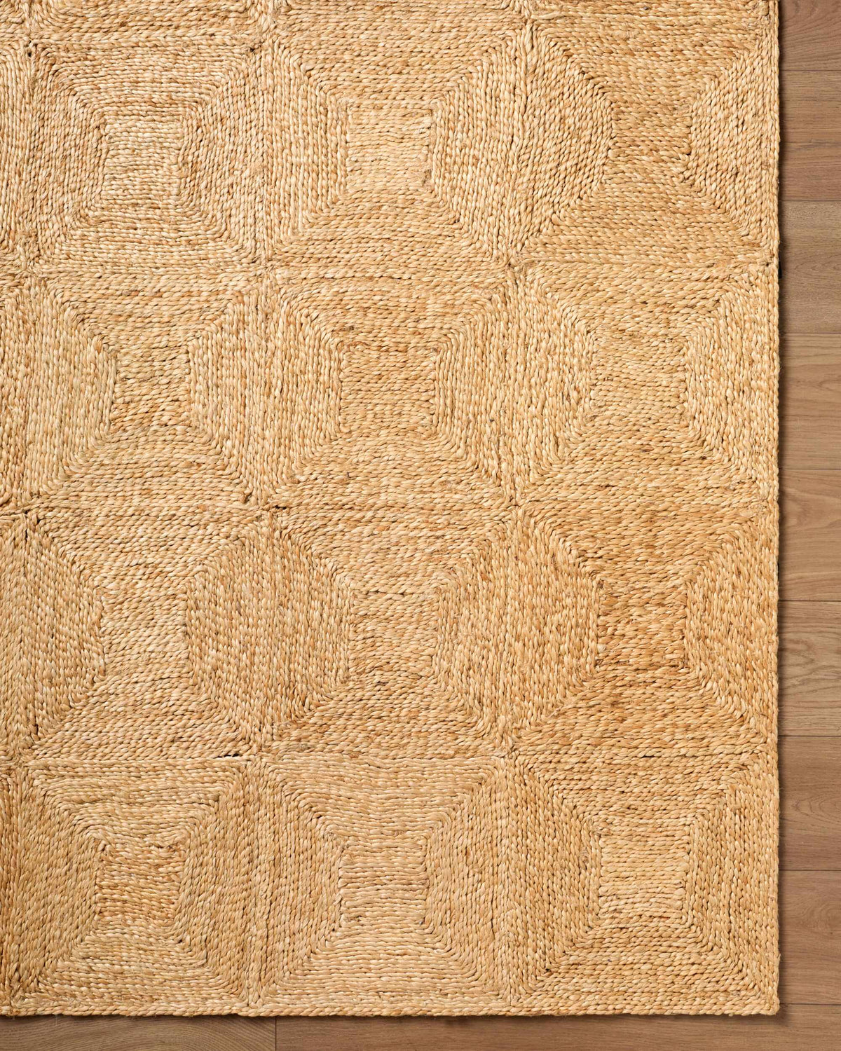 Donagh Brown Geometric Area Rug
