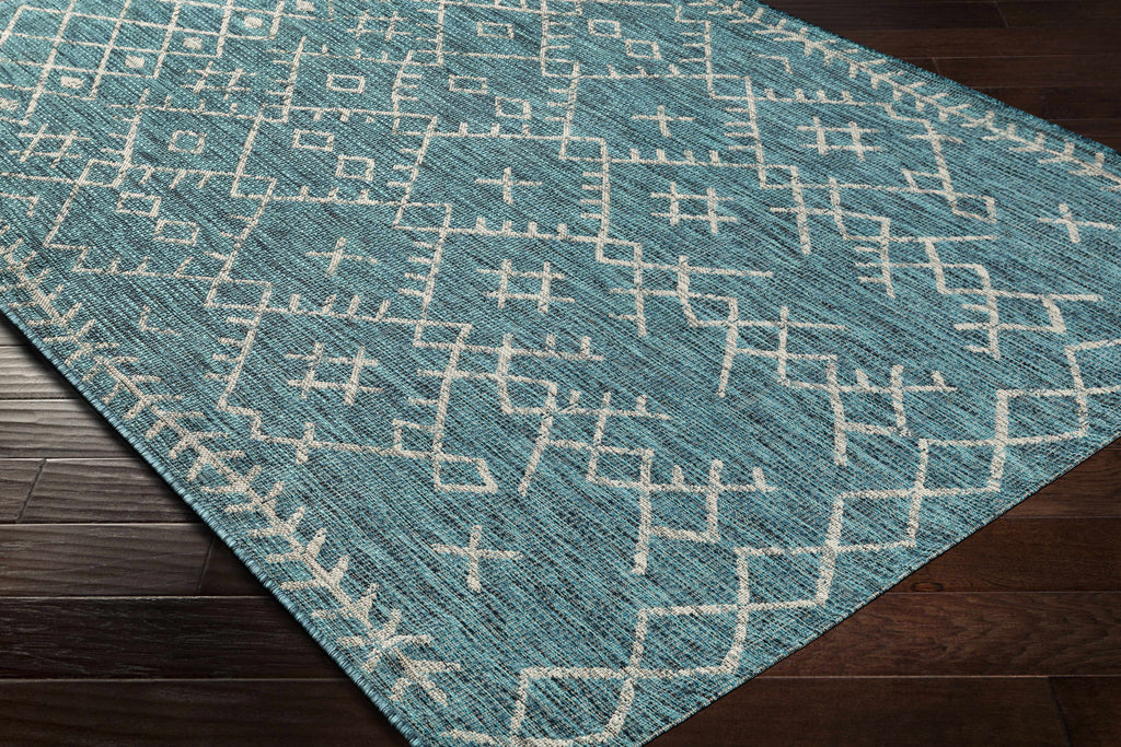 Maunawili Aqua Nordic Outdoor Rug
