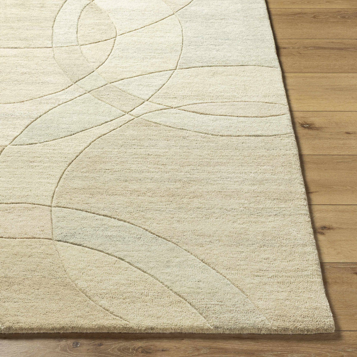 Rollo Area Rug - Clearance