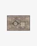 Rumi Olive & Tan Rug