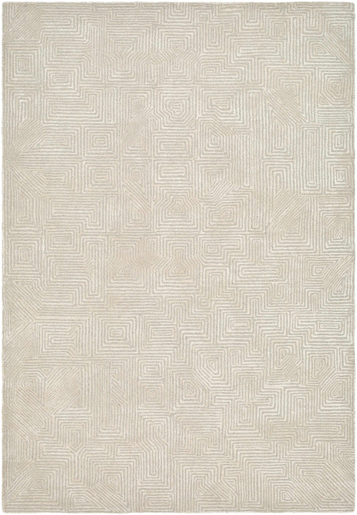 Gray Hawa Area Rug