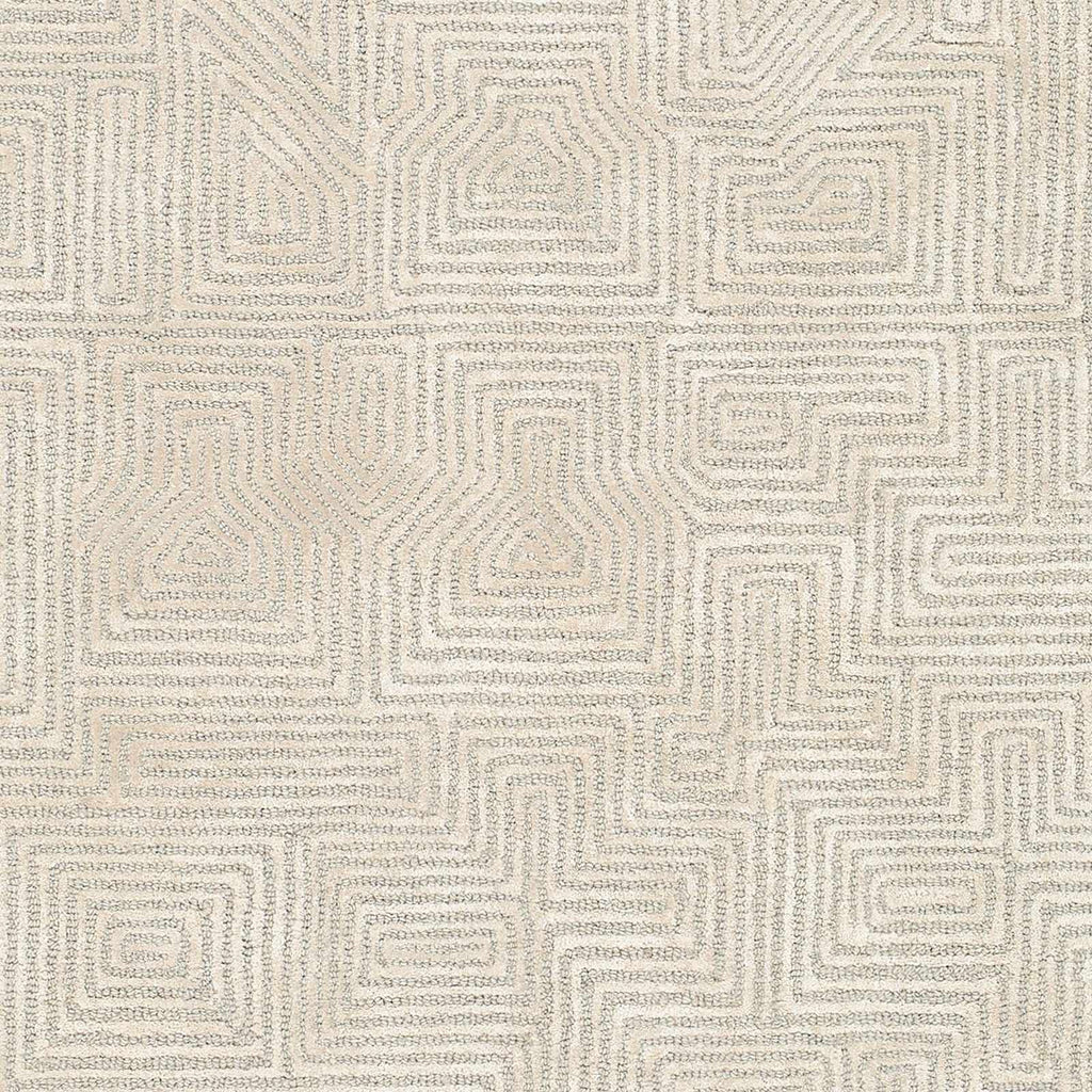 Gray Hawa Area Rug