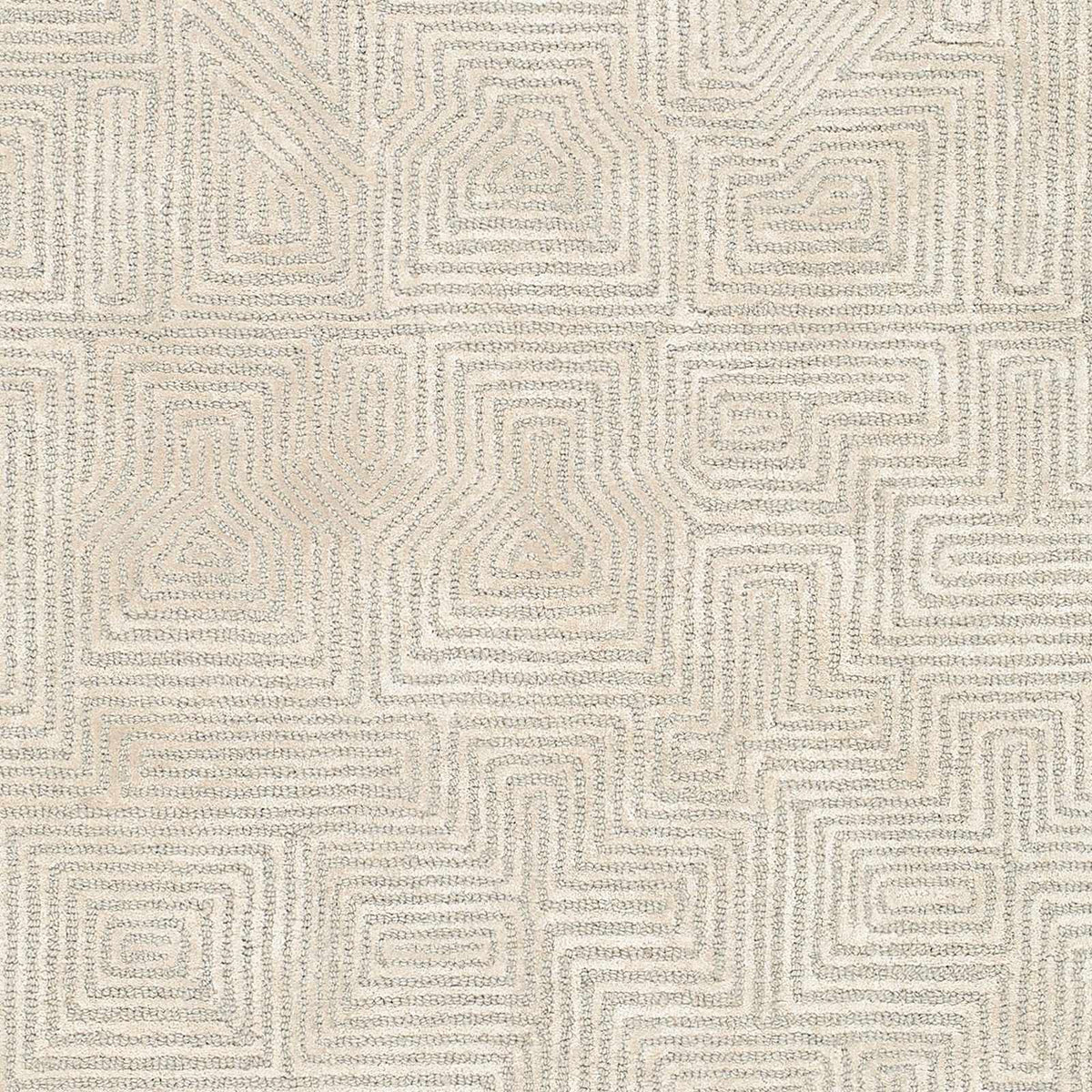 Gray Hawa Area Rug