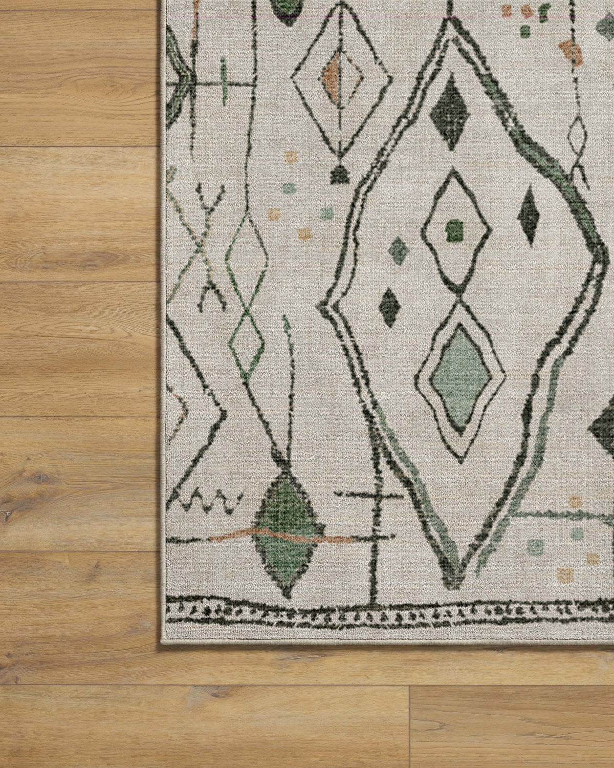 Saguaro Trail Cream & Sage Rug