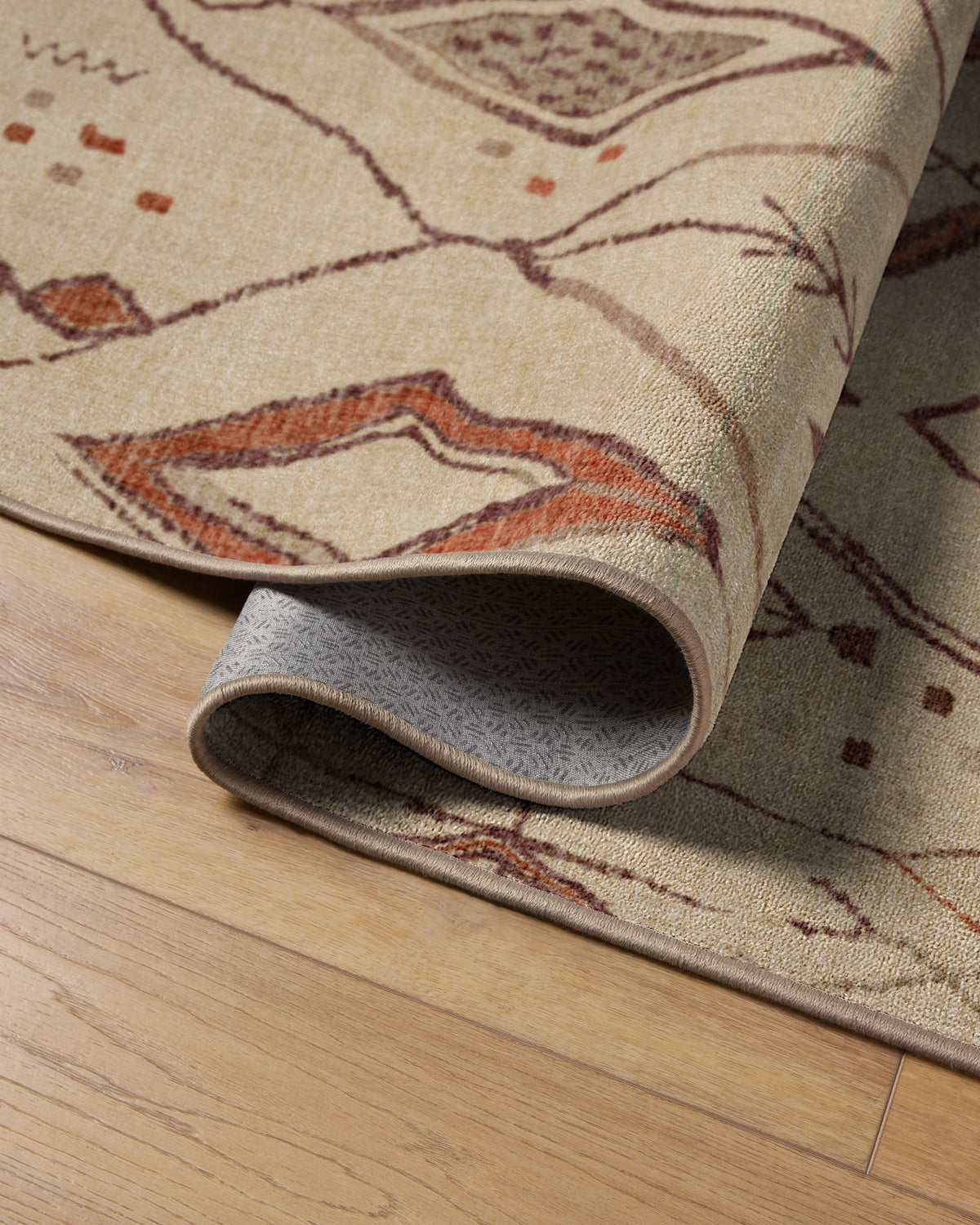 Saguaro Trail Ivory & Rust Rug