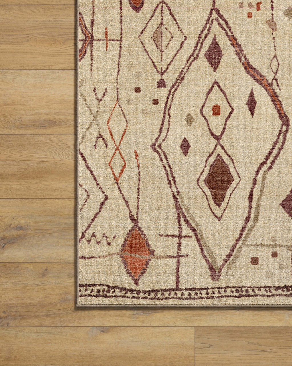 Saguaro Trail Ivory & Rust Rug