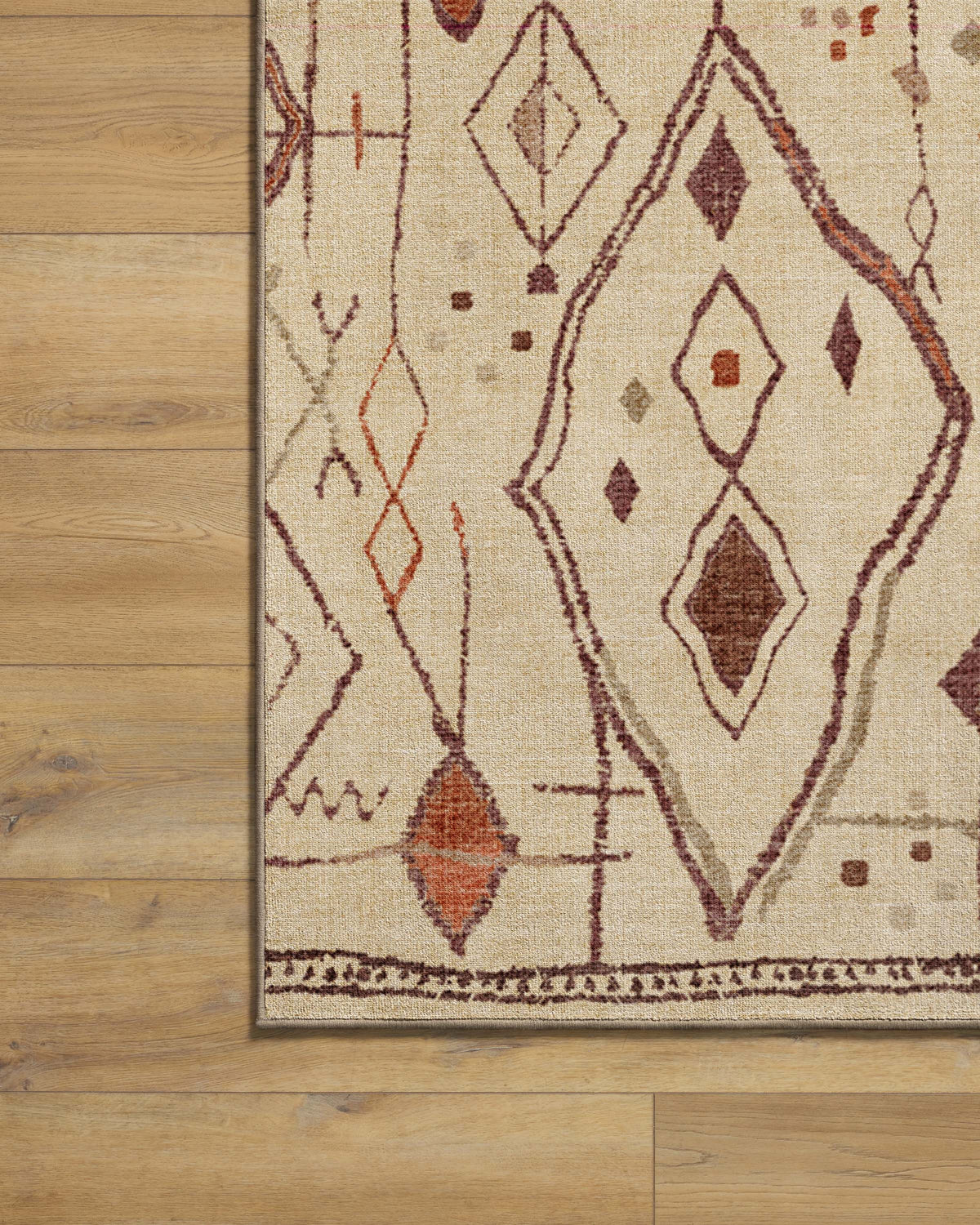 Saguaro Trail Ivory & Rust Rug