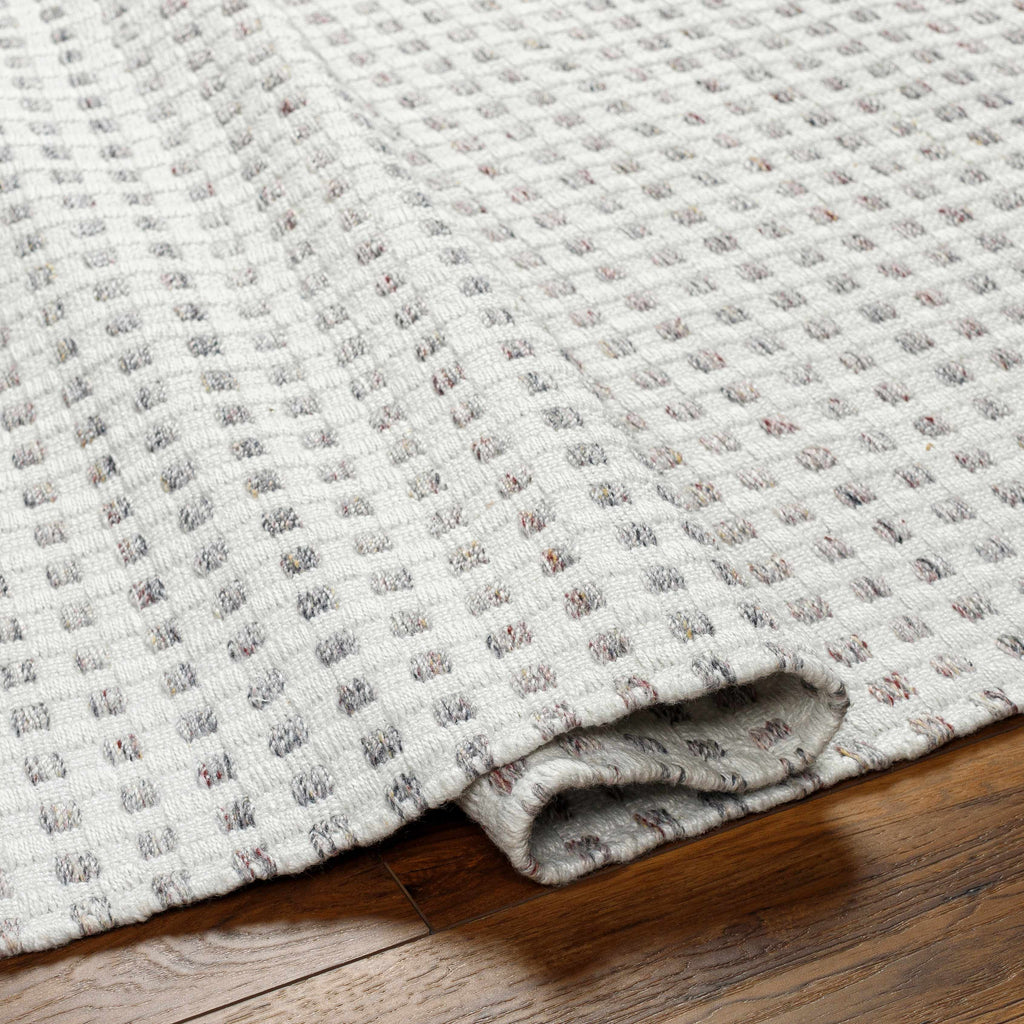 Bence Cream & Gray Area Rug - Clearance