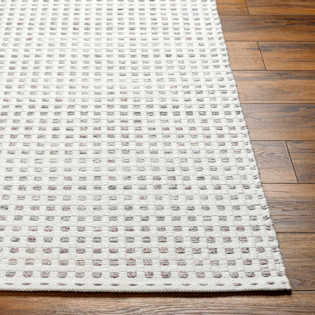 Bence Cream & Gray Area Rug - Clearance