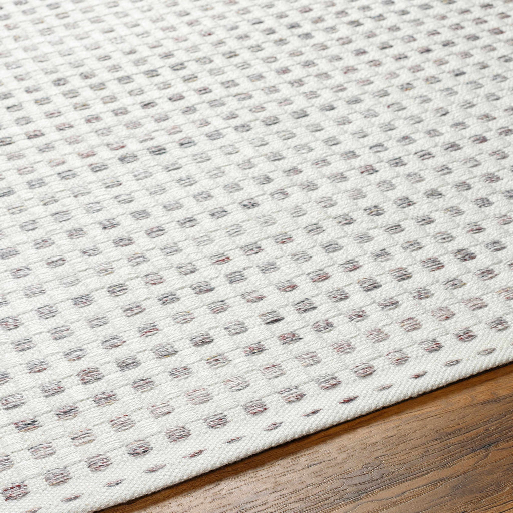 Bence Cream & Gray Area Rug - Clearance