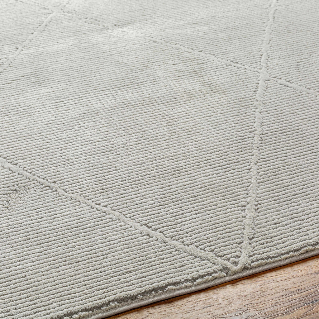 Aldis Grey Plush Textured Washable Rug - Clearance