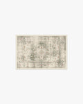 Sarrah Sage Rug