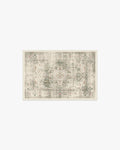 Sarrah Sage Flatwoven Rug