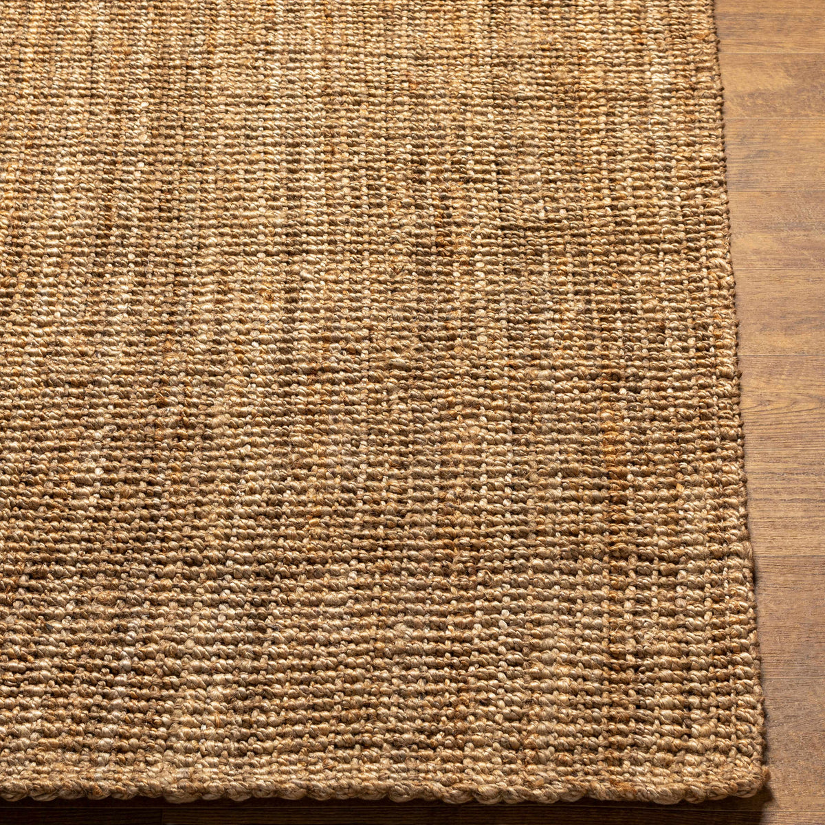 Ambel Chocolate Brown Camel Jute Area Rug
