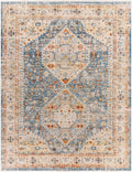 Cyndi Area Rug - Clearance