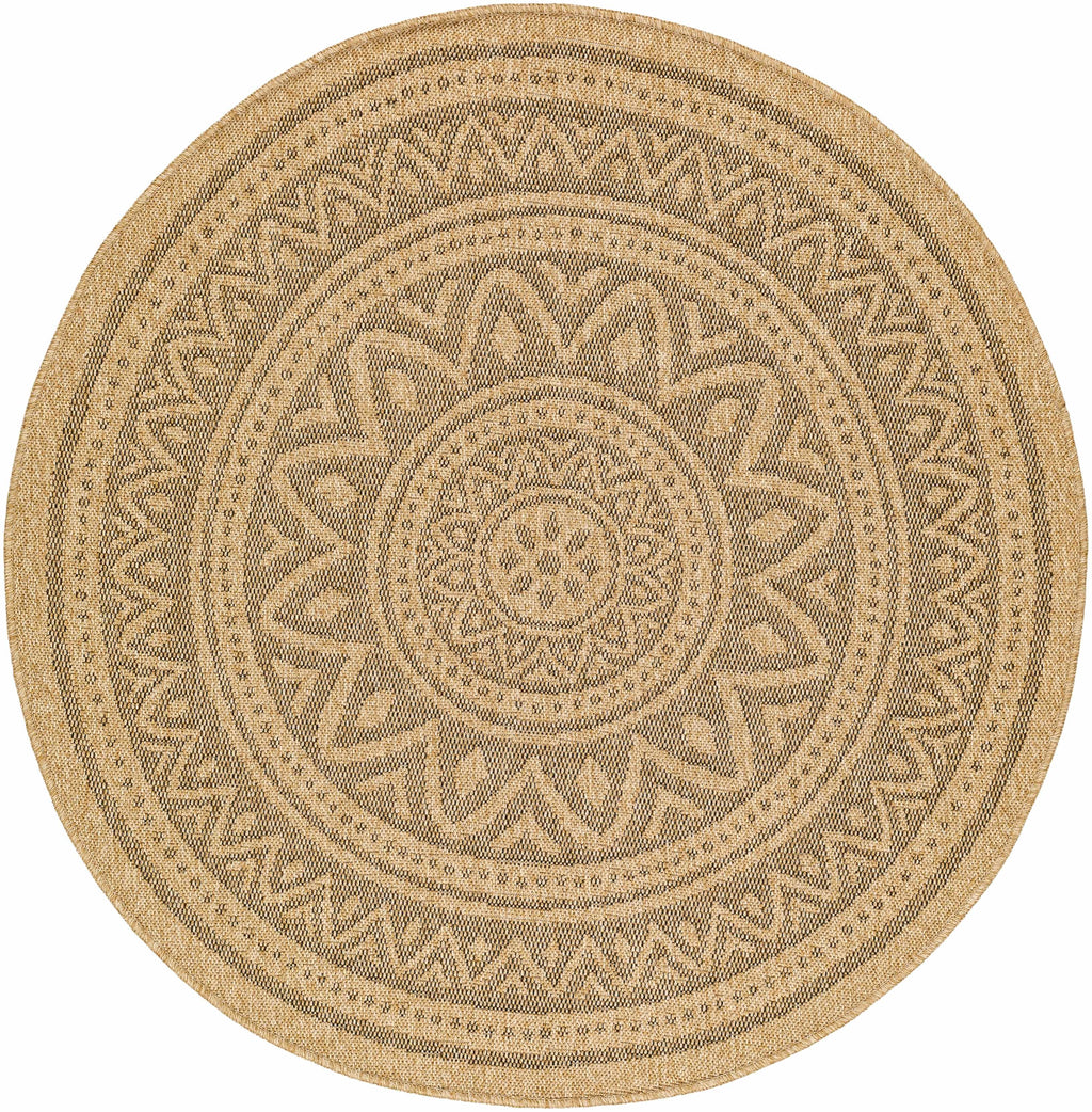 Gitel Outdoor Area Rug - Clearance