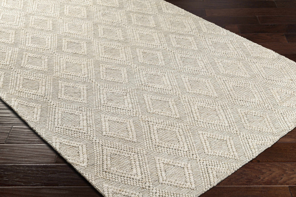 Kasib Beige Hand Woven Area Rug - Clearance