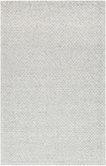 Kassa Gray Hand Woven Area Rug - Clearance