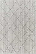 Nari Light Gray Area Rug - Clearance
