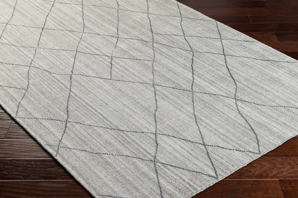 Nari Light Gray Area Rug - Clearance