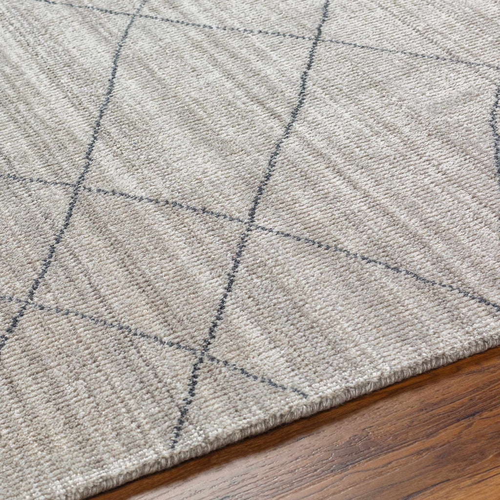 Nari Light Gray Area Rug - Clearance