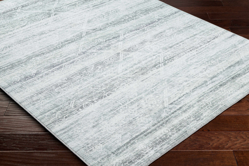 Blake Light Gray Washable Area Rug - Clearance