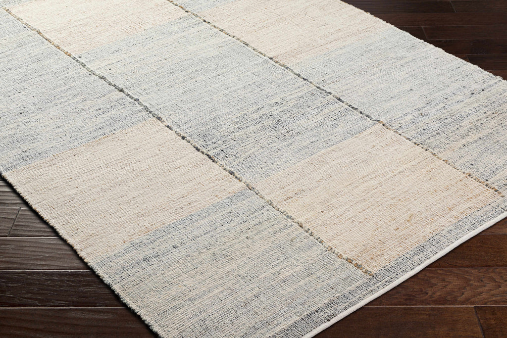 Pacey Beige & Gray Area Rug