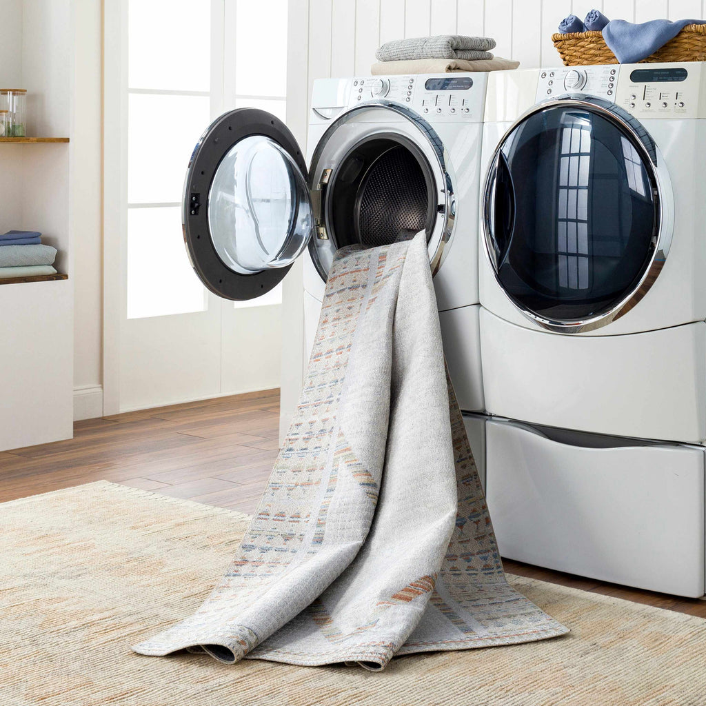 Remy Washable Area Rug - Clearance